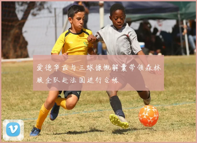 爱德华兹与三球慷慨解囊带领森林狼全队赴法国进行合练