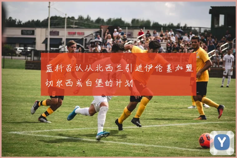 蓝科否认从北西兰引进伊伦基加盟切尔西或白堡的计划
